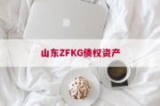 山东ZFKG债权资产