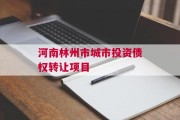 河南林州市城市投资债权转让项目