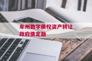 牟州数字债权资产转让政府债定融