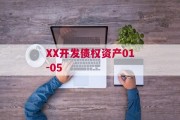 XX开发债权资产01-05