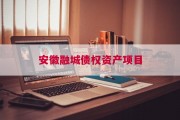 安徽融城债权资产项目