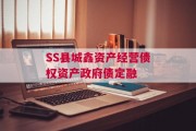 SS县城鑫资产经营债权资产政府债定融