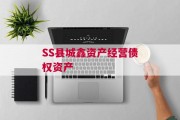 SS县城鑫资产经营债权资产