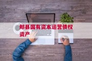 郏县国有资本运营债权资产
