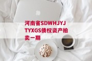 河南省SDWHJYJTYXGS债权资产拍卖一期