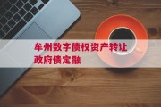 牟州数字债权资产转让政府债定融