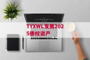 TYXWL发展2025债权资产