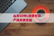 山东SDWL旅债权资产政府债定融