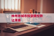 林州市城市投资债权转让项目