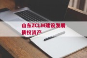 山东ZCLM建设发展债权资产