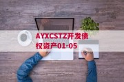 AYXCSTZ开发债权资产01-05
