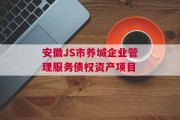 安徽JS市养城企业管理服务债权资产项目
