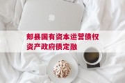 郏县国有资本运营债权资产政府债定融