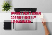 伊川财‮实源‬业投资2025债‮资权‬产1号政府债定融
