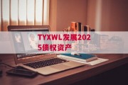 TYXWL发展2025债权资产