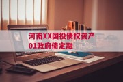 河南XX国投债权资产01政府债定融