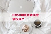 HNSD国有资本运营债权资产