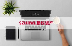 SZHRWL债权资产