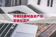 河南SS县城鑫资产经营债权资产