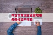 界首市养城企业管理服务债权资产项目
