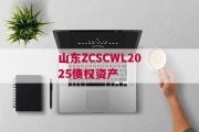 山东ZCSCWL2025债权资产