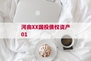 河南XX国投债权资产01