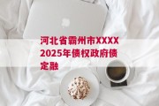 河北省霸州市XXXX2025年债权政府债定融
