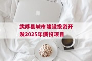 武陟县城市建设投资开发2025年债权项目