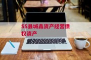 SS县城鑫资产经营债权资产