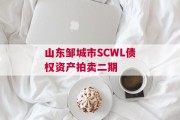 山东邹城市SCWL债权资产拍卖二期