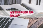 山东邹城LM建设发展债权资产