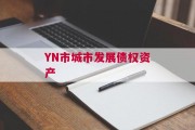 YN市城市发展债权资产