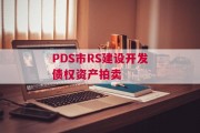 PDS市RS建设开发债权资产拍卖