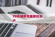 YN市城市发展债权资产