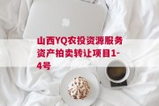 山西YQ农投资源服务资产拍卖转让项目1-4号