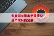 郏县国有资本运营债权资产政府债定融