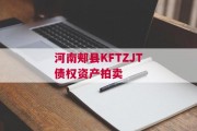 河南郏县KFTZJT债权资产拍卖