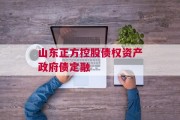 山东正方控股债权资产政府债定融