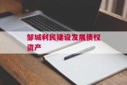 邹城利民建设发展债权资产
