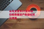 山东东营市DY区市政控股数据资产收益权转让项目
