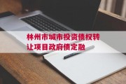林州市城市投资债权转让项目政府债定融