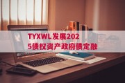 TYXWL发展2025债权资产政府债定融