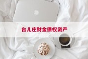 台儿庄财金债权资产