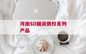 河南SD国资债权系列产品