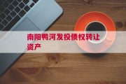 南阳鸭河发投债权转让资产
