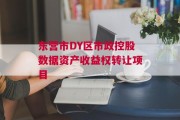 东营市DY区市政控股数据资产收益权转让项目