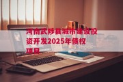 河南武陟县城市建设投资开发2025年债权项目