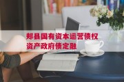 郏县国有资本运营债权资产政府债定融