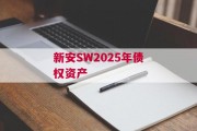 新安SW2025年债权资产