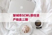 邹城市SCWL债权资产拍卖二期